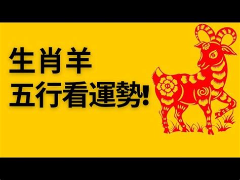 屬羊 五行|【羊五行屬什麼】羊五行是什麼？一次搞懂屬羊的五行。